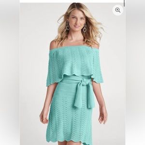 NWT: Off the Shoulder Mint Sweater Dress
